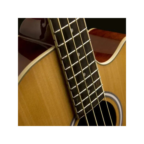 Bajo Electroacústico Washburn Ab5k 4 Cuerdas Caoba Natural Brillante