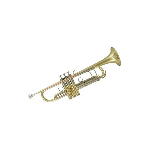 Trompeta Roy Benson Tr-202g Bb Bronce Con Estuche Y Boquilla