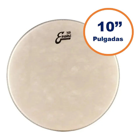 Evans Tt10c7 Parche Golpe Tom 10 Pulgadas Calftone Sintético