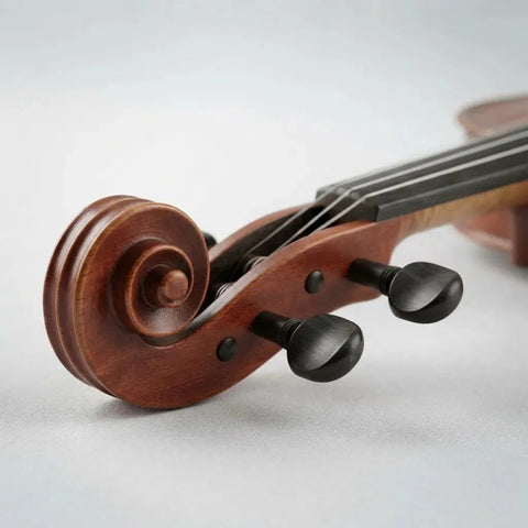 Gewa Ps401611 Violín 4/4 Con Arco Estuche Delux Brea Color Madera