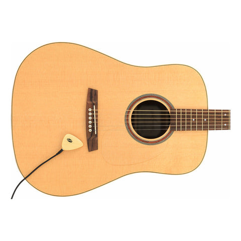 Pastilla Portátil Para Instrumentos Acusticos Kna Ap-1