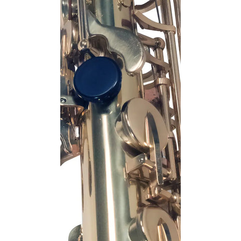 Saxofón Alto Wesner Ssa1000-g Eb Laqueado Dorado Con Estuche