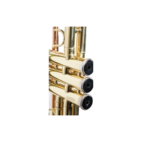 Trompeta Con Tonalidad Bb Laqueado Dorado Wesner Str1000-g