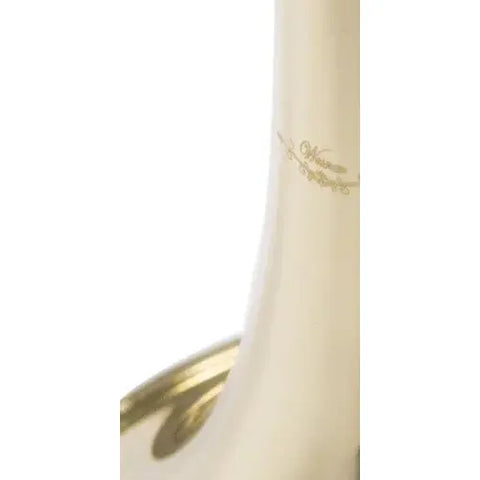 Trompeta Con Tonalidad Bb Laqueado Dorado Wesner Str1000-g