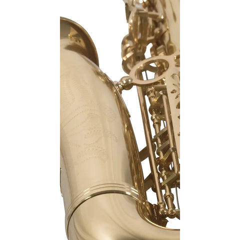 Saxofón Alto Wesner Ssa1000-g Eb Laqueado Dorado Con Estuche