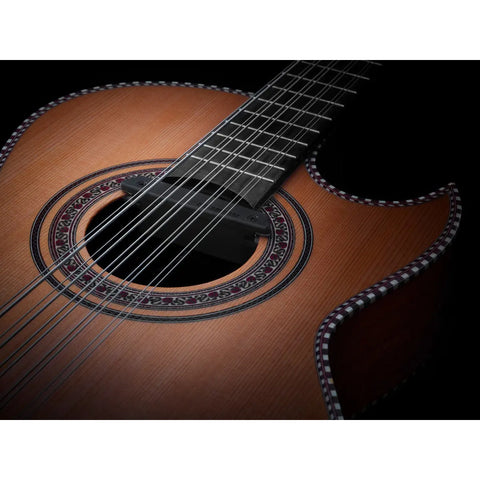 Pastilla Humbucking Para Bajo Quinto Fishman Pro-rep-bq1