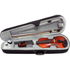 Violin De 4/4 Fabricado Con Madera Europea Gewa Ps401621