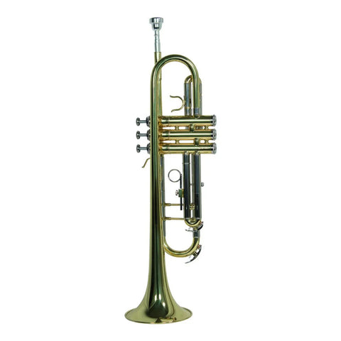 Trompeta Bb/c Laqueado Dorado Con Estuche Wesner Ptr1000c-g
