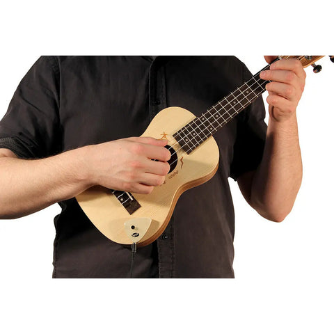 Pastilla Portátil Para Instrumentos Acusticos Kna Ap-2