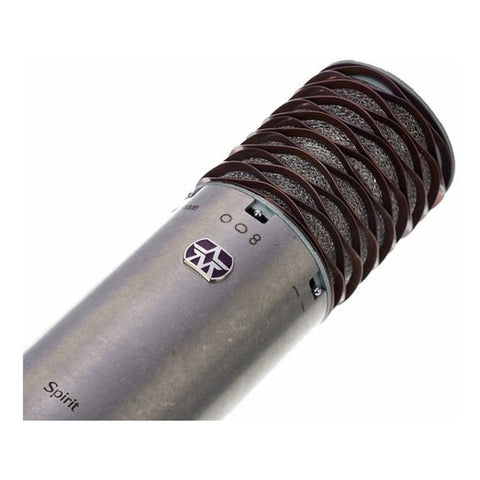 Micrófono Condensador Aston Spirit Xlr Diafragma Grande Color Gris