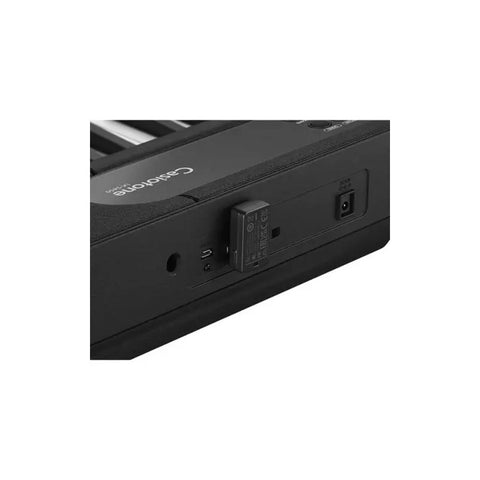 Adaptador De Audio Usb/bluetooth Para Teclados Casio Wu-bt10
