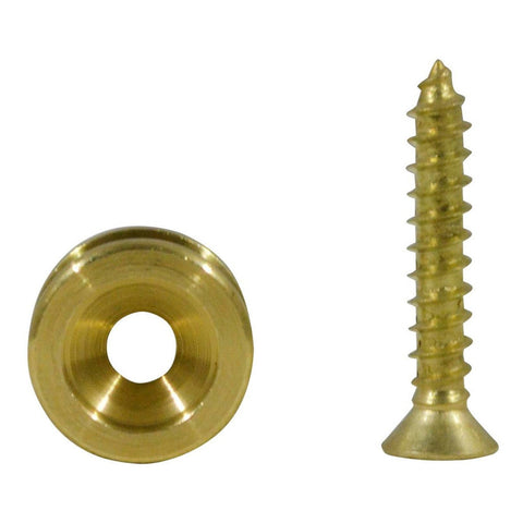 Par De Tornillos Repuesto P/guitarras Planet Wave Pwep302