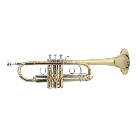 Trompeta Tonalidad C Tudel L C/estuche Roy Benson Tr-402c