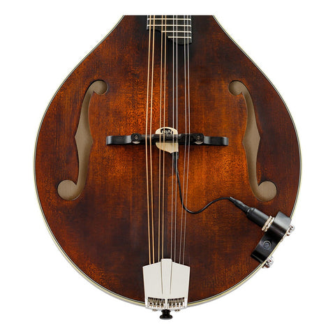 Pastilla Mandolina Piezoeléctrica C/control Volumen Kna Mp-2