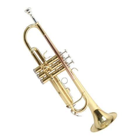 Trompeta Tonalidad Bb Tudel Ml C/estuche Roy Benson Tr-101