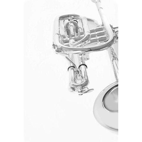 Corneta En Tonalidad Bb Con Tudel Ml Roy Benson Cr-302s