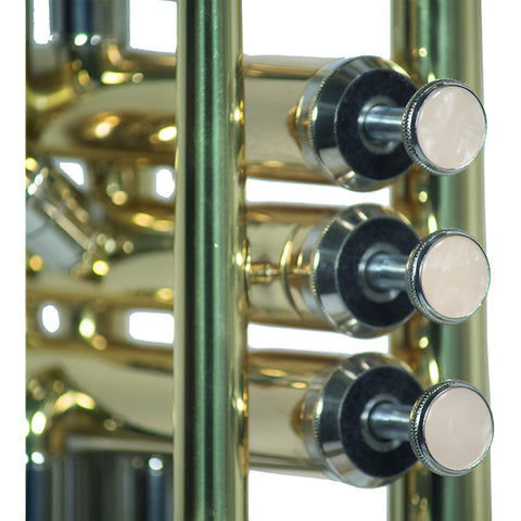 Trompeta Bb/c Laqueado Dorado Con Estuche Wesner Ptr1000c-g