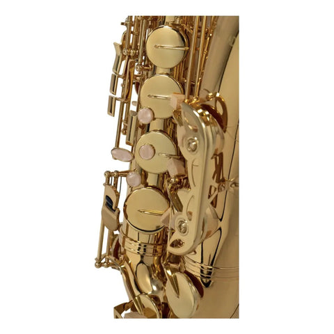 Benjamin Adams Ts100 Saxofon Benjamin Adams Tenor Mod. Ts100 Dorado