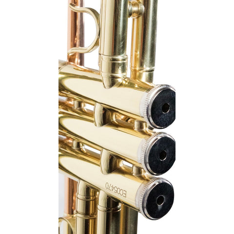 Trompeta Con Tonalidad Bb Laqueado Dorado Wesner Str1000-g