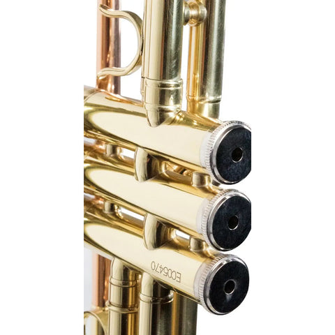Trompeta Con Tonalidad Bb Laqueado Dorado Wesner Str1000-g