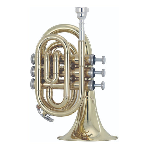 Trompeta De Mano En Bb Acabado De Latón Wesner Ptp2000-l