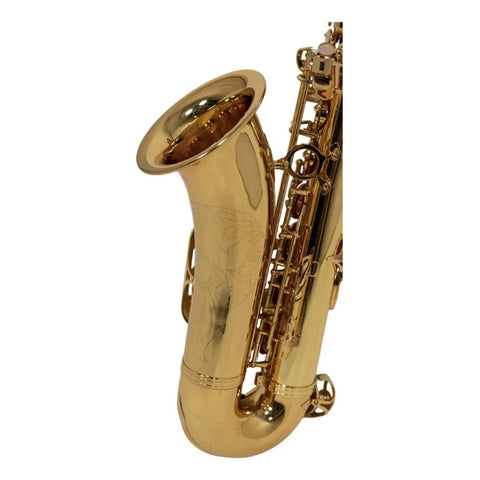 Benjamin Adams Ts100 Saxofon Benjamin Adams Tenor Mod. Ts100 Dorado