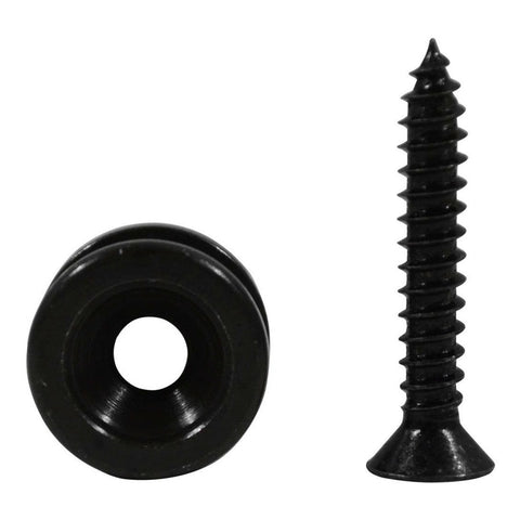 Par De Tornillos Repuesto P/guitarras Planet Wave Pwep102