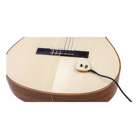 Pastilla Portátil Para Instrumentos Acusticos Kna Ap-2