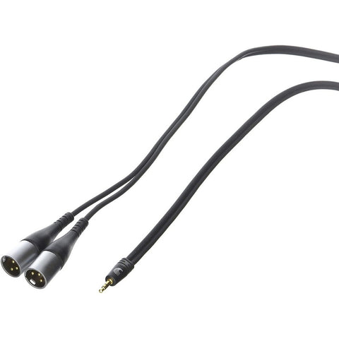 Cable P/audio Plug 1/8 A 2 Plug Xlr Planet Wave Pw-mpxlr-06