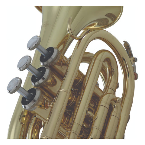 Trompeta De Mano En Bb Acabado De Latón Wesner Ptp2000-l