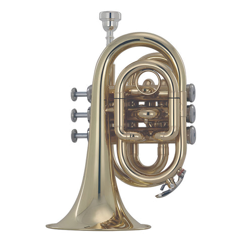 Trompeta De Mano En Bb Acabado De Latón Wesner Ptp2000-l