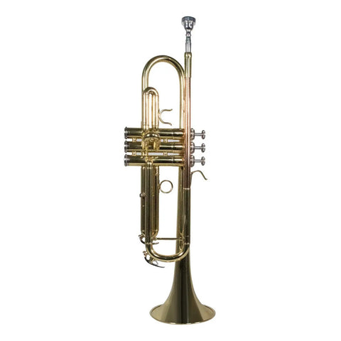 Trompeta Con Tonalidad Bb Laqueado Dorado Wesner Str1000-g