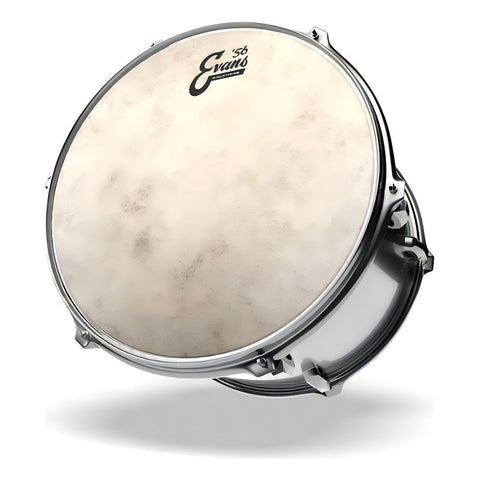 Evans Tt10c7 Parche Golpe Tom 10 Pulgadas Calftone Sintético