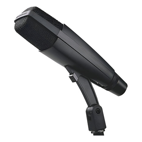 Micrófono Cardioid P/ Radiodifusión Sennheiser Md-421ii Negro
