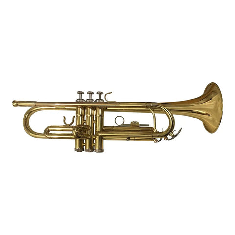 Trompeta Roy Benson Tr-101 Sib Latón Dorado Con Estuche Ligero