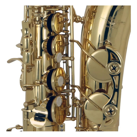 Saxofón Alto Wesner Psa2000-l Latón Laqueado Con Estuche