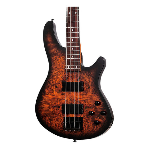 Bajo Electric 4 Cuerdas Schecter C-4 Standard Tobacco Burl Acabado Del Cuerpo Mate Color Chocolate Orientación De La Mano Diestro