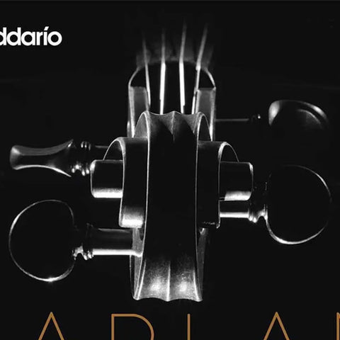 Juego De Cuerdas Para Violín Escala 4/4 Daddario Ka310 4/4m