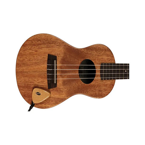Pastilla Portátil Para Instrumentos Acusticos Kna Ap-1