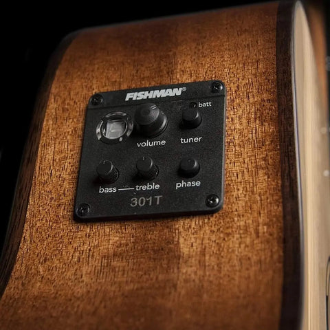 Guitarra Electroacústica Washburn Wld10sce Dreadnought 6 Cuerdas Natural