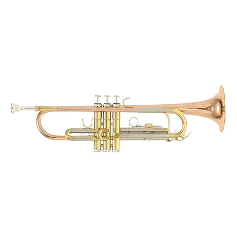 Trompeta Roy Benson Tr-202g Bb Bronce Con Estuche Y Boquilla