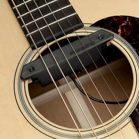 Micrófono Fishman Rare Earth Single Coil Pro-rep-101