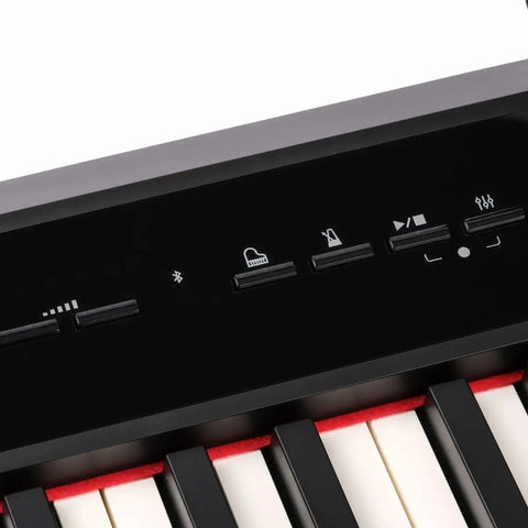 Piano Digital Nux Npk-10 88 Teclas Acción De Martillo Negro Portátil