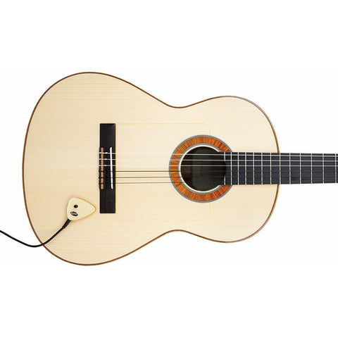 Pastilla Portátil Para Instrumentos Acusticos Kna Ap-2