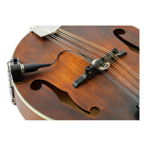 Pastilla Mandolina Piezoeléctrica C/control Volumen Kna Mp-2