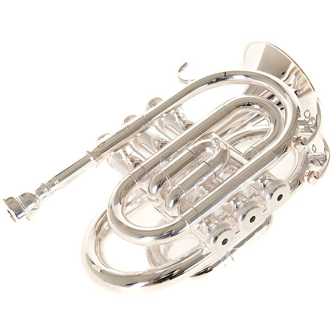 Roy Benson Pt-101s Trompeta Pocket Pistones Laton Plateado