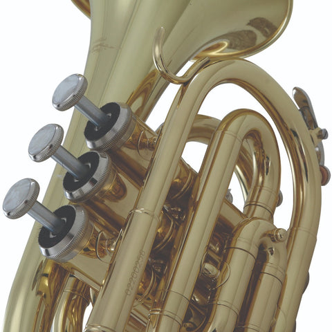 Trompeta De Mano En Bb Acabado De Latón Wesner Ptp2000-l