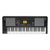 Teclado Arreglista Profesional 61 Teclas Korg Ek-50 Csa