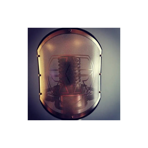 Filtro Antipop Aston Shield Gn Cuello De Ganso Premium