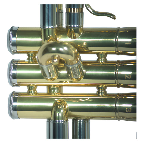 Trompeta Bb/c Laqueado Dorado Con Estuche Wesner Ptr1000c-g